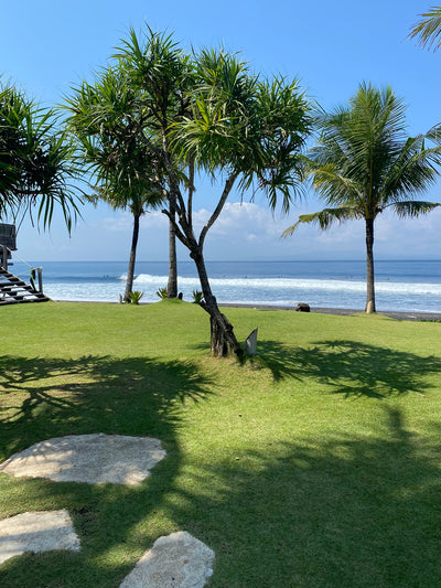 Bali Art Retreat - Acrylics - 14 to 19 October 2025 - Keramas  - $2,650